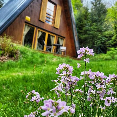 Chata Pod Tolstejnem Villa Jiřetín pod Jedlovou Eksteriør bilde